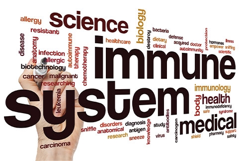 Essential Nutrients to Build a Better Immune System
