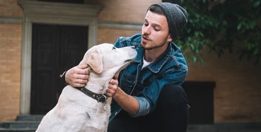 The Best Doggone Reasons for Probiotics