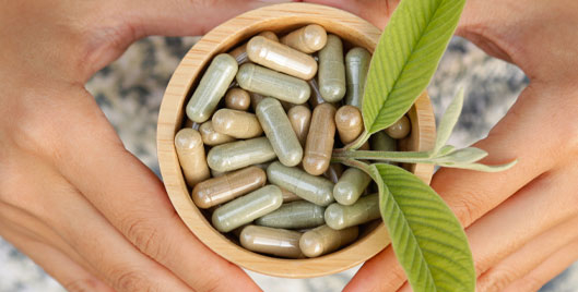 Hands holding bowl of supplements