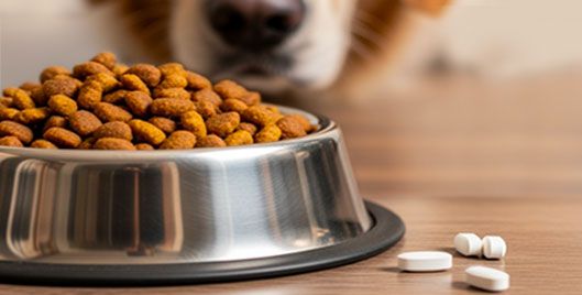 Does Your Pet Need Supplements?