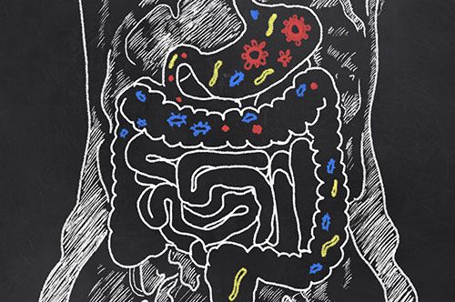 Intestinal  Bacterial Overgrowth
