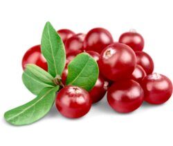 Urinary Tract and Bladder Infection Relief