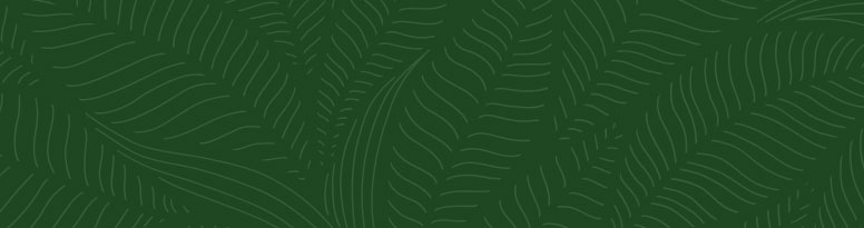 MALE & FEMALE RED GINSENG PRODUCTS