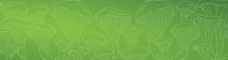 PleuraMax Product Family