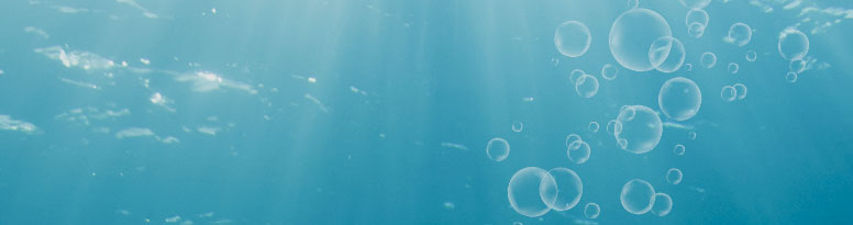 VECTOMEGA PRODUCT FAMILY