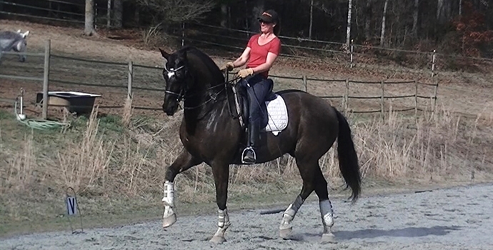 DRESSAGE
