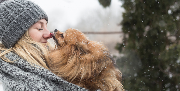 HOW TO KEEP YOUR DOG HAPPY THIS WINTER