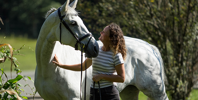 Dressage: Understanding Aiding