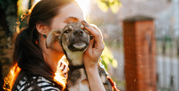 Bringing Home a New Dog? Follow These Five Tips!