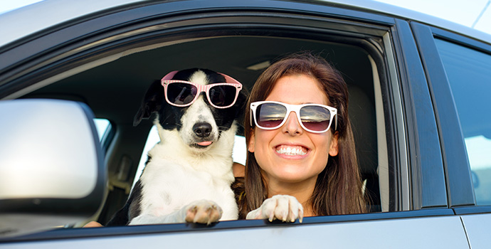 ROAD TRIP! Traveling with your Pet in a Car