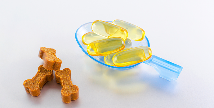 Forget the Fish Oil: There's a Better Choice for Omega-3