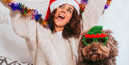 Fa-la-la-WOOF! Canine Holiday Stress!