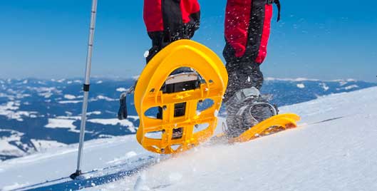 Winter Workouts for the Win!