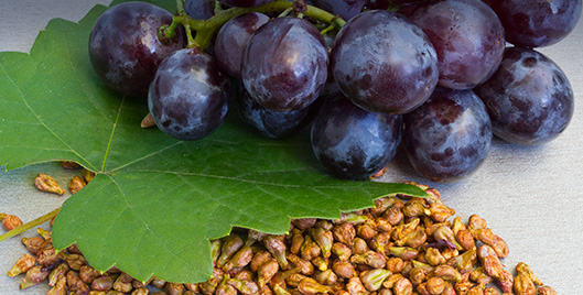 3 Things to Look for in a Grape Seed Extract