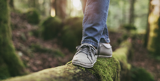 4 Simple Steps to Create Balance in Your Life