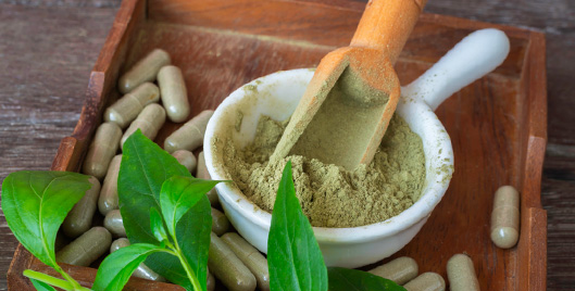 Andrographis: Discover the Secret to Optimal Health*