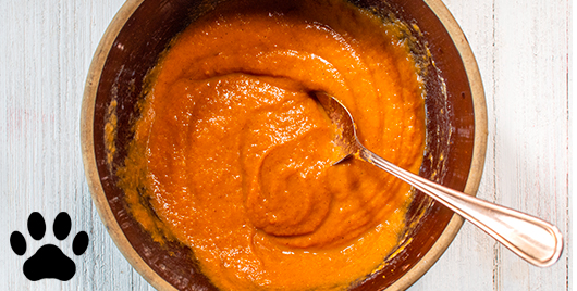 Three-Ingredient Pumpkin Dog Treats