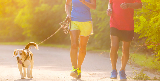 5 Must-Have Products for Healthy Joints*