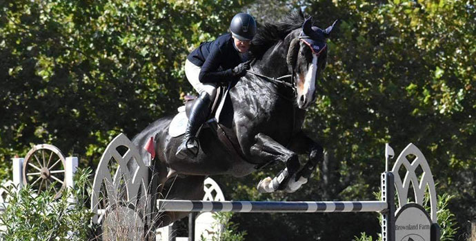 What to Consider When Selecting an Equestrian Trainer