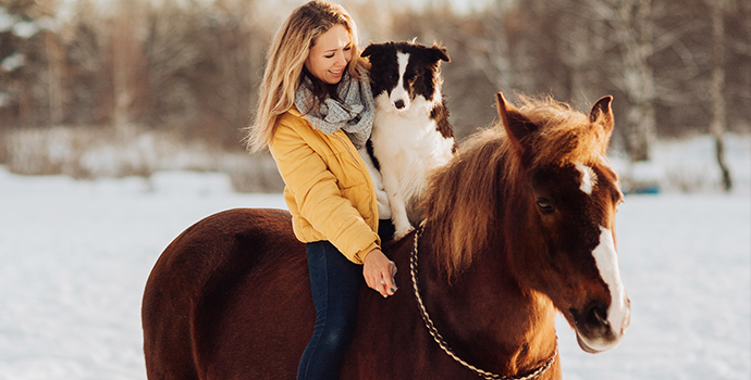 The Surprising Immune Support Answer for Dogs and Horses