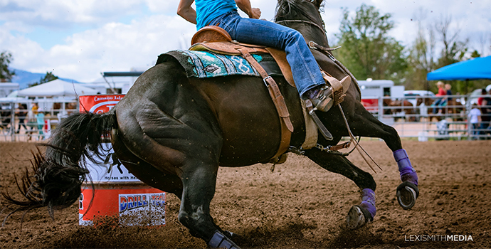 Equestrian Photography