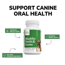 Healthy Teeth and Gums Pill Bottle  by Terry Naturally Animal Health
