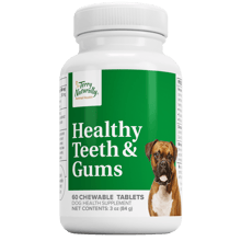 Healthy Teeth and Gums Pill Bottle  by Terry Naturally Animal Health