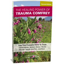The Healing Power of Trauma Comfrey