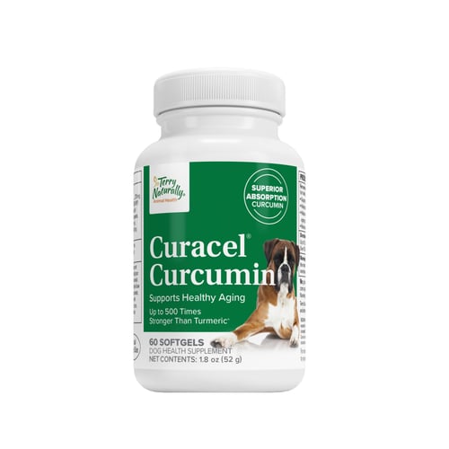 Curacel Curcumin Bottle Image
