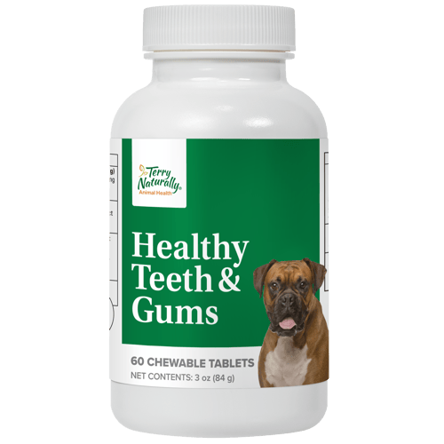 Healthy Teeth and Gums Pill Bottle  by Terry Naturally Animal Health
