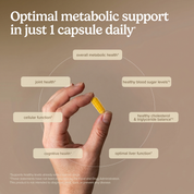 Berberine MetX™