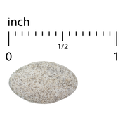 Vectomega® (Tablets)