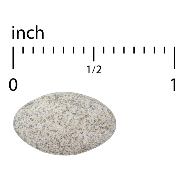 Vectomega® (Tablets)
