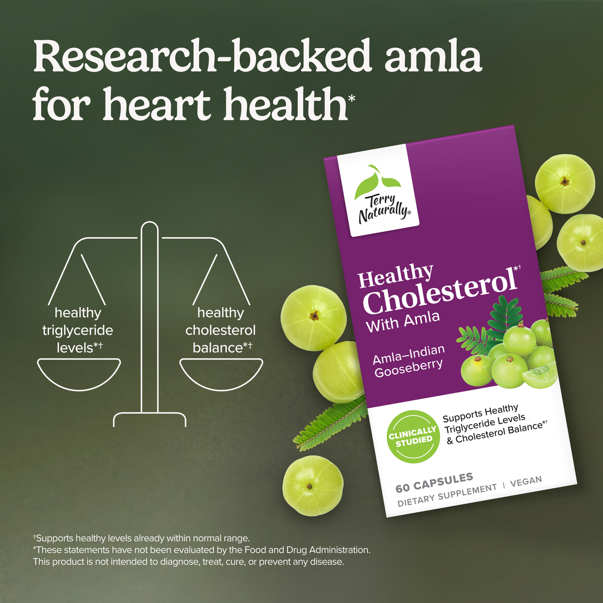 Healthy Cholesterol*† with Amla
