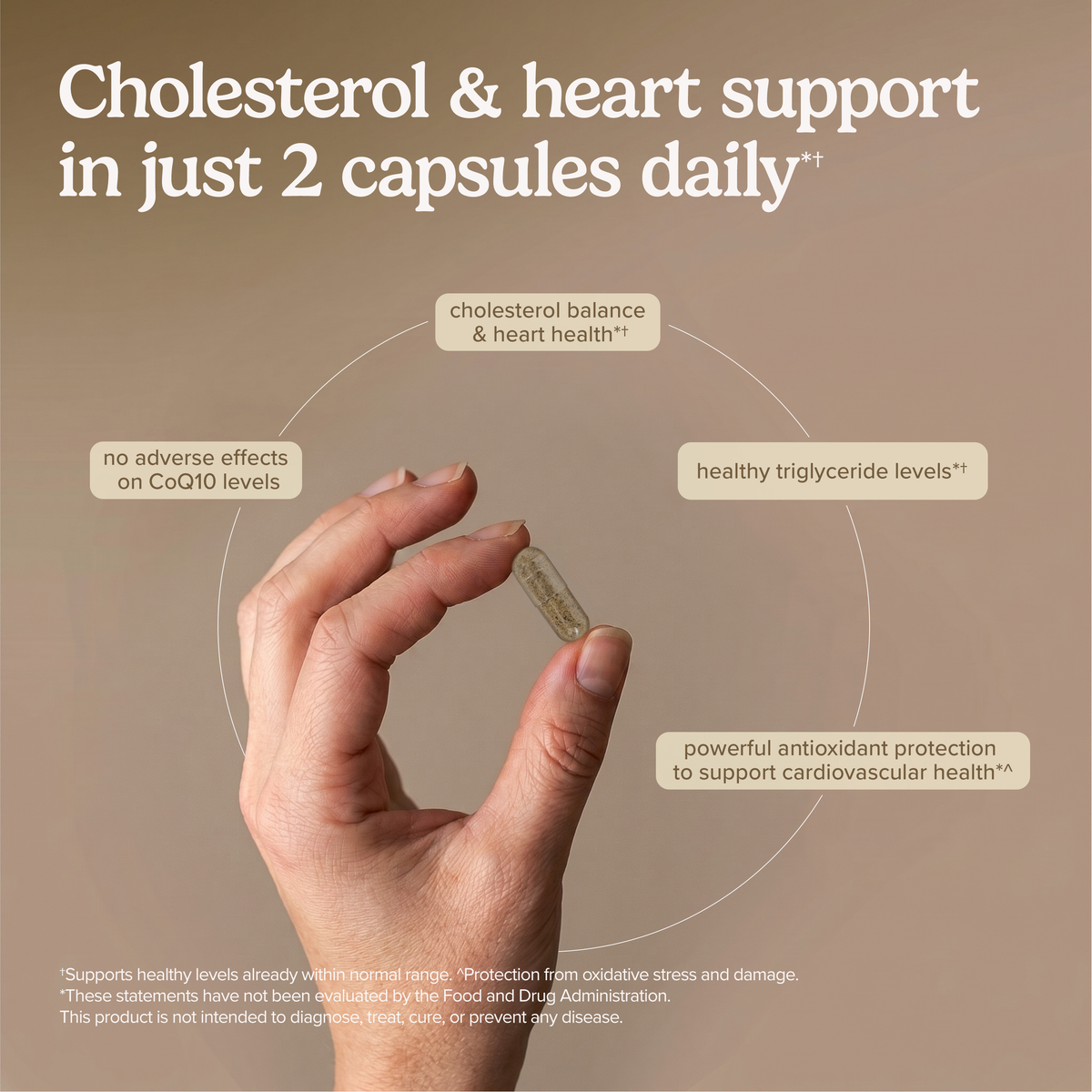 Healthy Cholesterol*† with Amla