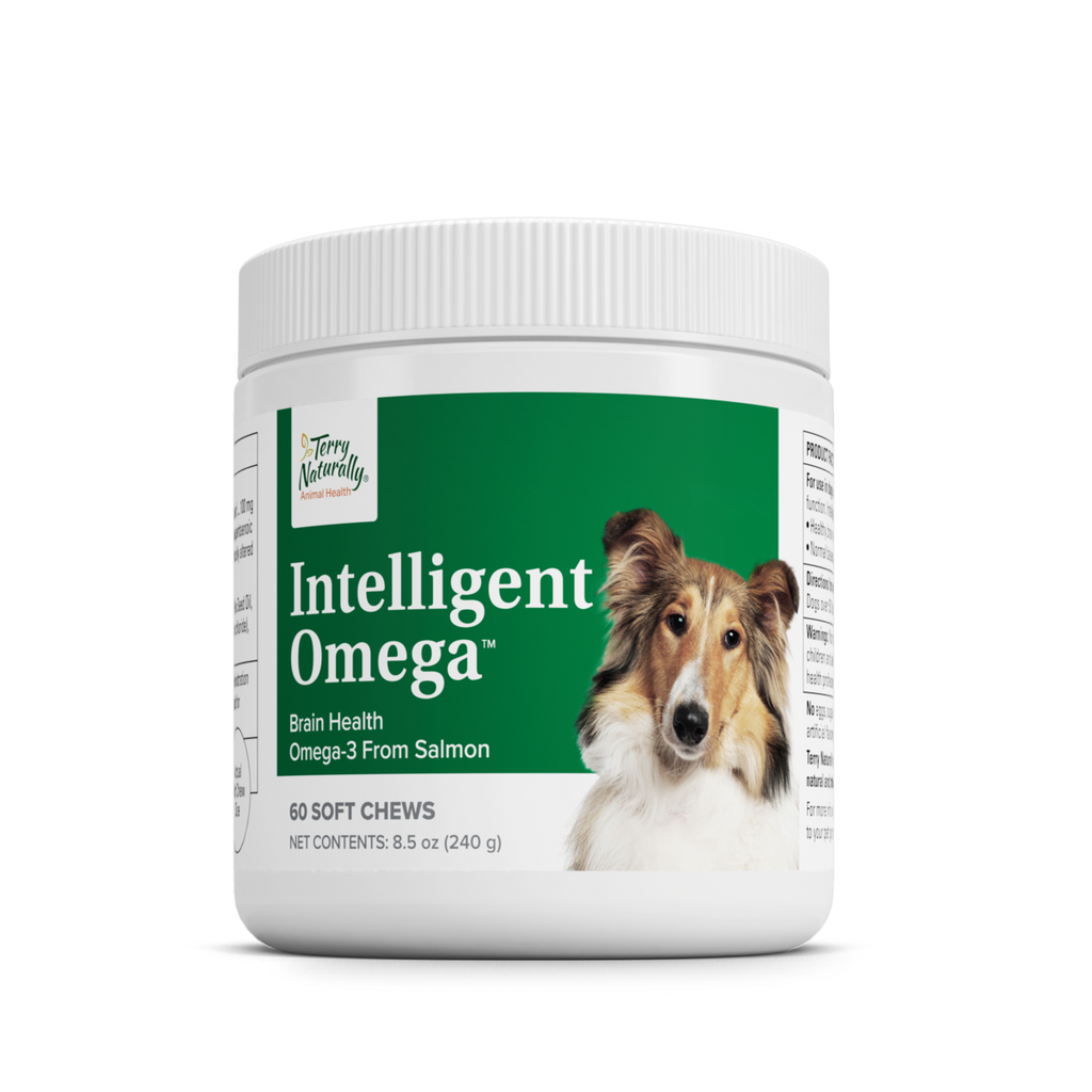 supplements such as l-carnitine taurine omega-3 dog Intelligent Omega™ Promotes a silky coat Skin White Glutathione Vitamin Material_Plywood Size:1 ml
