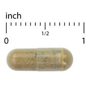 Andrographis and Ashwagandha