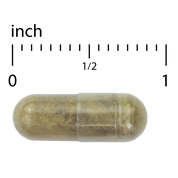 GMT23™ Greek Mountain Tea + Bacopa