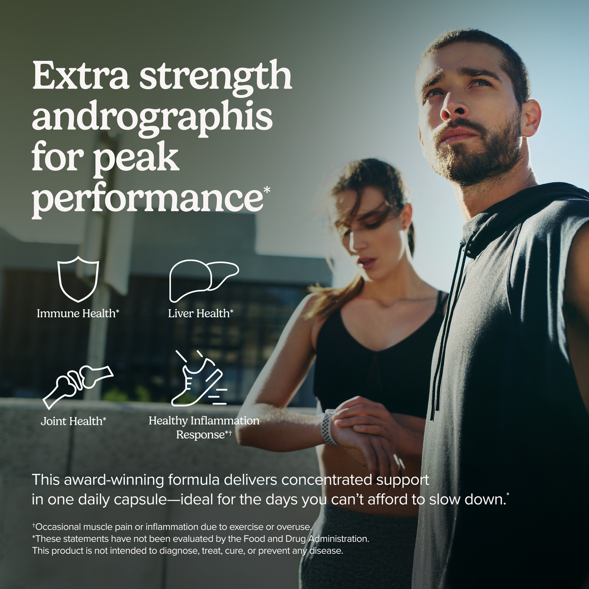 Andrographis EP80™ Extra Strength