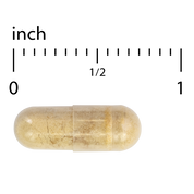 Propolis Extract EP300™