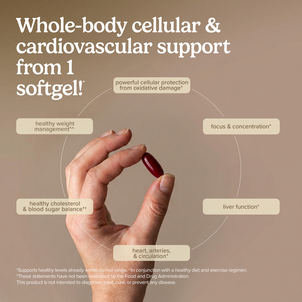 Clinical OPC® Extra Strength