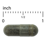 Andrographis EP80™ Extra Strength
