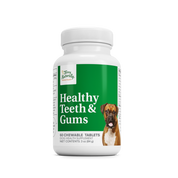 Healthy Teeth & Gums