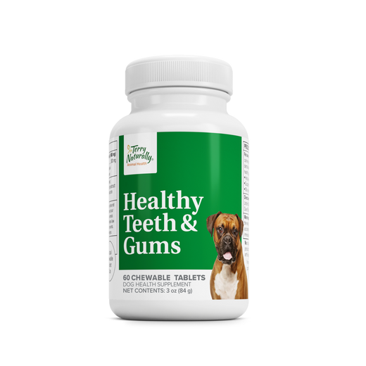 Healthy Teeth & Gums