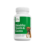 Healthy Teeth & Gums
