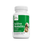 Active Mobility