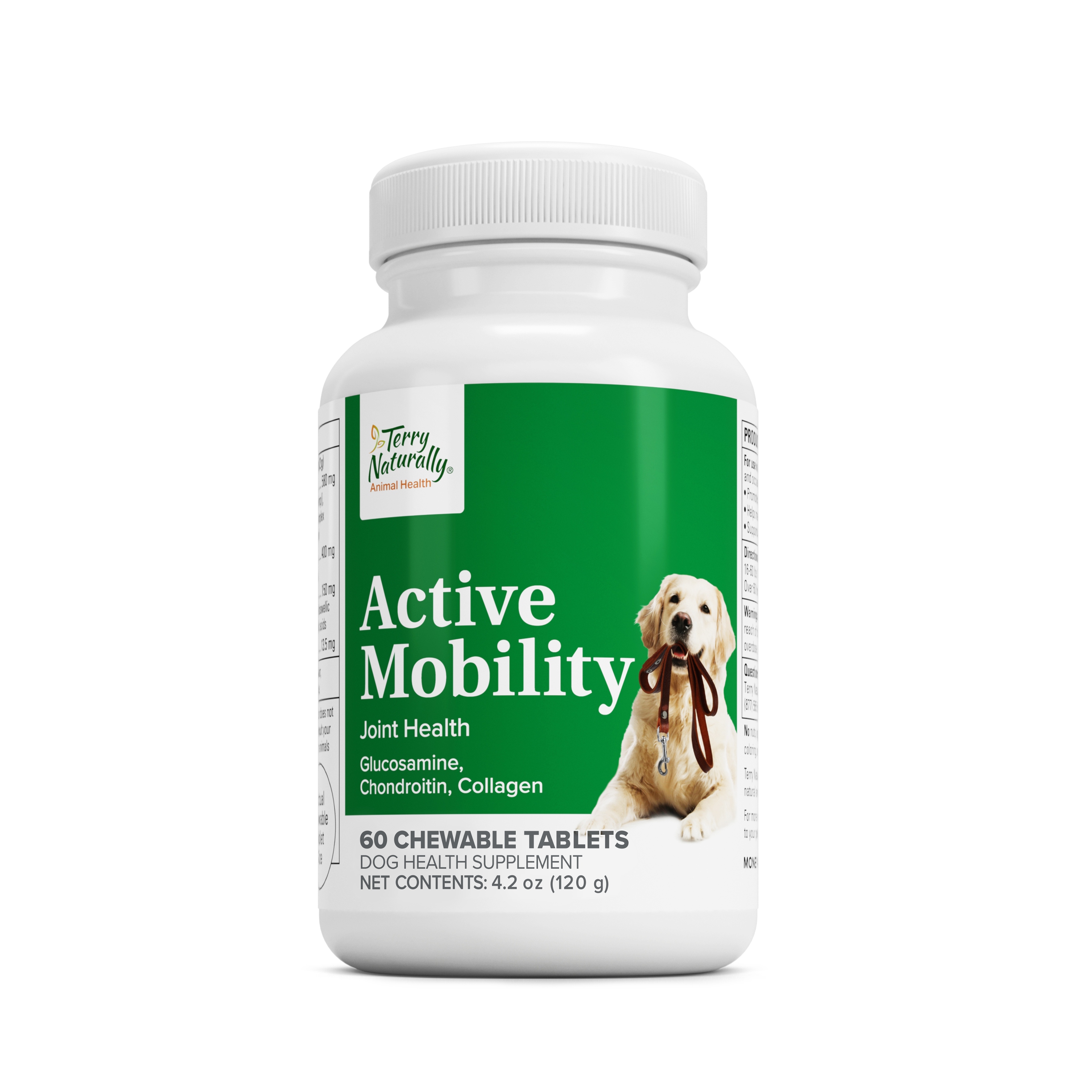 Active Mobility