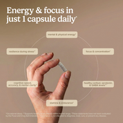 HRG80™ Red Ginseng Energy