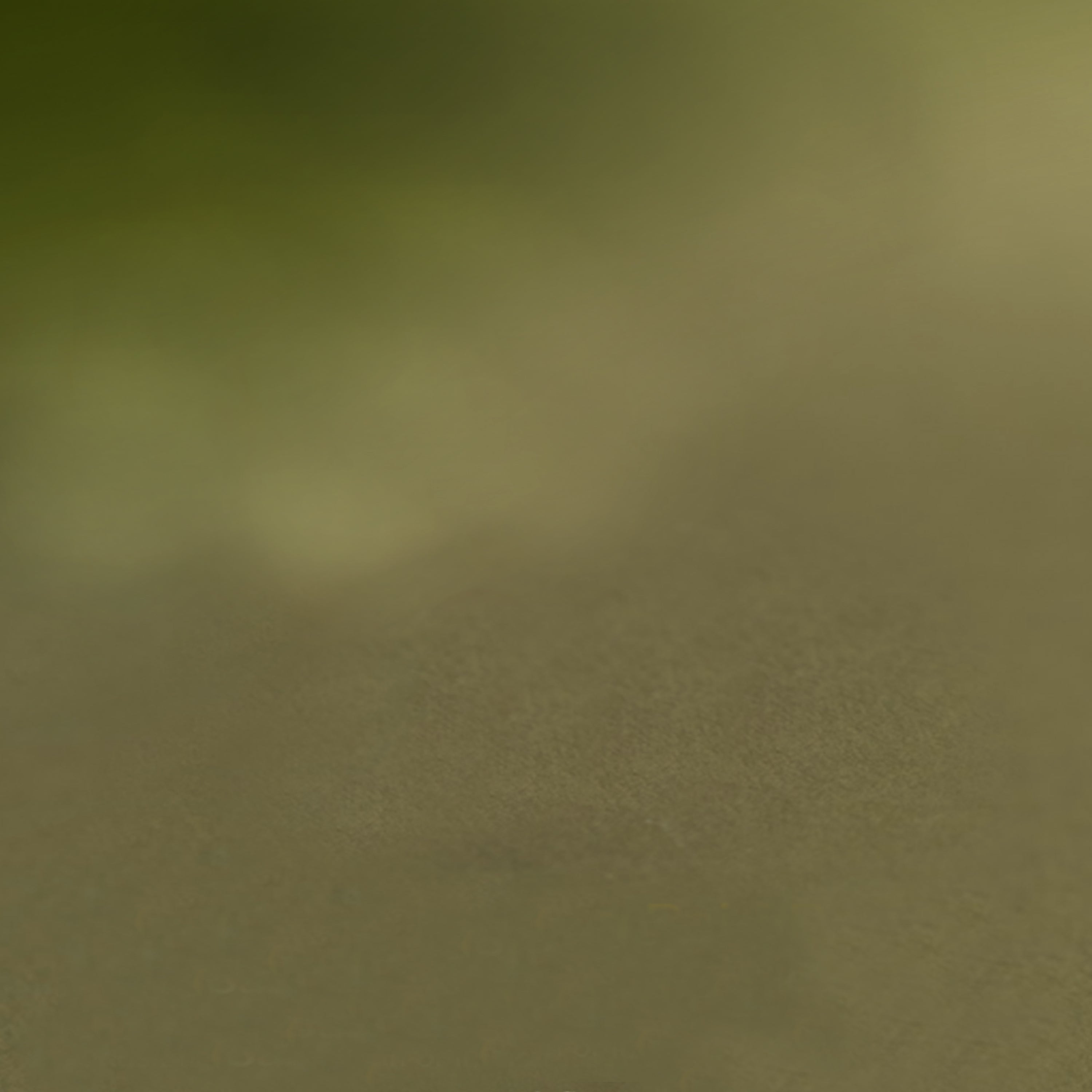 GreenBackground.jpg