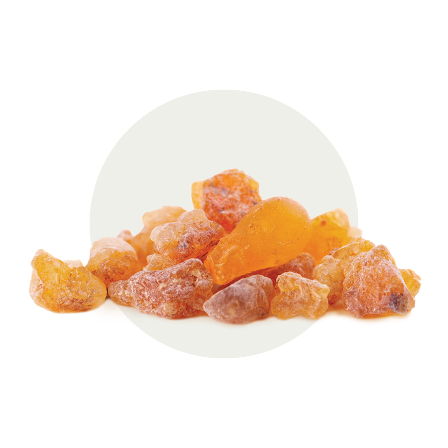TN_Feature-Ingredients_Boswellia.png
